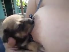 Dog milking on the big tits of a hot beastie gal